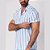 Camisa Viscolinho Listrado Azul - Imagem 3
