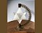MERKABA - Artefato para Meditação - Geometria Sagrada ( Merkabah ) - Imagem 1