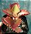 Kalanchoe Sexangularis - Imagem 4