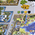 Jogo Piratas de Maracaibo da MeepleBR - Imagem 10