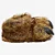 Pantufa Unissex Tam P 33/35 Pata De Urso - Zona - Imagem 3