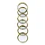 Disco G 31mm Dourado - Caderno Inteligente - Imagem 1