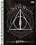 Caderno Esp Univ Cd 20m 400f Harry Potter -jandaia - Imagem 3