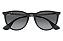 Ray-ban erika - Imagem 2