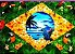 canga brasil 051 personalizada - Imagem 1