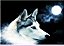 canga lobos e felinos 179 personalizada - Imagem 1