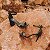 Carrano - Sandalia Fancy Salto Fino Couro Preto - Imagem 4