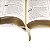 Bíblia Sagrada ARA Letra Gigante - Branca / Dourada - Imagem 5