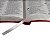 Bíblia Sagrada ARA Letra Grande - Rosa Pink - Imagem 3