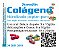 Colágenos - Imagem 4