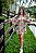 Vestido Girassol em Suplex - Modelo Kimono - Imagem 3