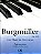 BURGMULLER OP.100 - Estudos, Escalas e Teoria adaptados para órgão eletrônico - Ana Mary de Cervantes - Imagem 1