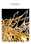 Lustre Cristal Dourado Moderno Imperial Chuva Cristal Egipcio Dubai Luxuoso Ramos Galhos ars-62 - Imagem 4