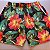 SHORT PRAIA FLORAL - S044 - Imagem 1