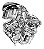 Manual De Serviço Suzuki Boulevard Vl 1500 1999 A 2004 - Imagem 4