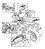 Manual De Serviço Triumph Speed Triple 1050 2011 - Imagem 3