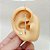 Brinco Ear Hook Com Tira Cravejada Com Banho De Ouro - Imagem 3