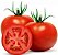 TOMATE - Imagem 1