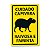 Placa Decorativa 24x16cm - Capivara Faminta e Raivosa - Imagem 1