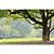 Óleo Essencial HO WOOD GT China LASZLO 10 ml - Imagem 3