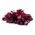 Cranberry Desidratada granel - 100g - Imagem 1