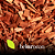 Óleo Essencial Sândalo Amyris 10ML - Imagem 2