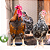 OPORTUNIDADE - OVOS FÉRTEIS - GALINHAS SERTANEJA BALÃO- 12 OVOS - Imagem 12