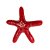 Presilha Estrela do Mar Vermelha - Imagem 1