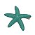 Presilha Estrela do Mar verde água - Imagem 1