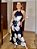 Vestido Maya Farm - Imagem 1