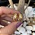 Brinco Argola Delicada Moderna Pequena Banhada a Ouro 18k - Imagem 4