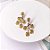 Brinco Dry Flowers Dourado - Imagem 2