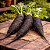 Rabanete Black - 50 Sementes - Imagem 1
