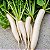 Rabanete Longo Branco: 20 Sementes - Imagem 1