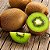 Sementes de Kiwi - 20 Sementes - Imagem 1