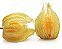 Physalis Fruta (Golden Berry): 100 Sementes - Imagem 2