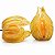 Physalis Fruta (Golden Berry): 100 Sementes - Imagem 2