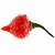 Pimenta Biquinho - Capsicum chinense - 40 Sementes - Imagem 4