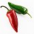 Pimenta Jalapenho (Jalapeño): 40 Sementes - Imagem 3
