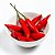 Pimenta Dedo de Moça: 40 Sementes - Imagem 9