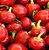 Pimenta Bode Vermelha: 40 Sementes - Imagem 2