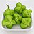 Pimenta Cambuci: 40 Sementes - Imagem 3