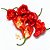 Pimenta Cambuci: 40 Sementes - Imagem 4