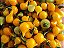 Pimenta Biquinho Amarela: 40 Sementes - Imagem 1