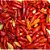 Pimenta Chili Mexicana: 20 Sementes - Imagem 1