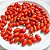 Pimenta Cumari Verdadeira (Pimenta Passarinho): 5 Sementes - Imagem 5
