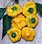 Pimenta Jamaican Yellow (Scotch Bonnet): 10 Sementes - Imagem 2
