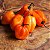 Pimenta Orange Habanero: 20 Sementes - Imagem 2