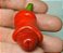 Pimenta Peter Pepper: 10 Sementes - Imagem 6