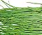 Cebolinha Verde: 20 Sementes - Imagem 4